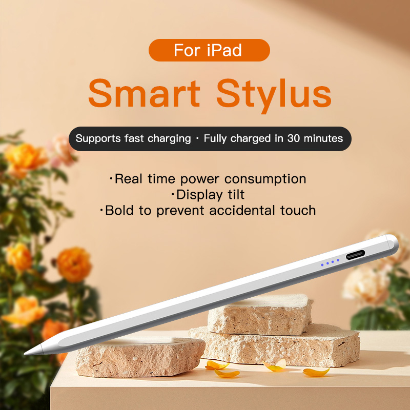 Stylus Pen For Apple Pencil wi - Tablet Accessories For Kids 评论和价格